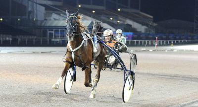 Malmqvists danske Kriterievinnare i hetluften