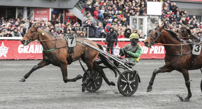 Åtta hästar i Prix de Selection