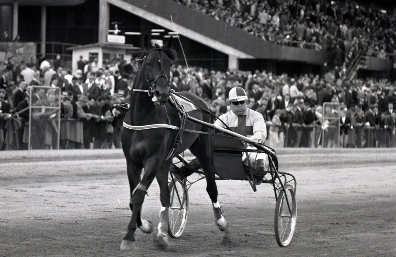 Giocchino Ossani och Fury Hanover på Solvalla i samband med Elitloppet 1964. Foto: stalltz.se
