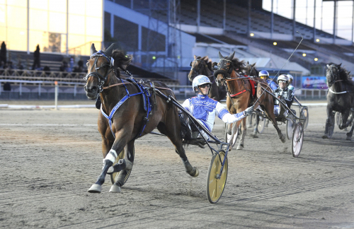 Debut som treåring – nu Derbyfavorit