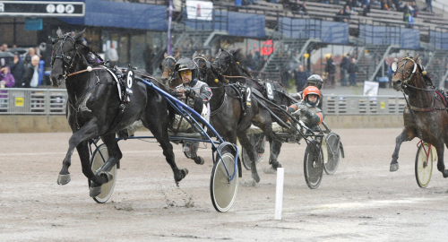 Europaderbyt: Finalfältet är klart