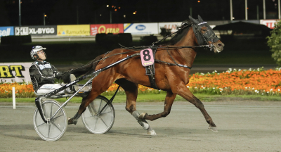 21–25 sep: Hitta Dina vinnare på 17 banor