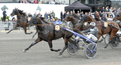 Haglund: ”Gynnar bara fuskarna”