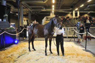 Krocken: Auktion mot Union