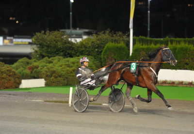Fri handicap på V86