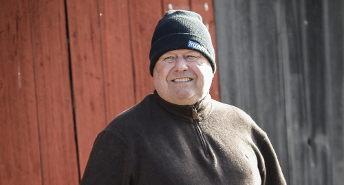 V75: Walmann om chanserna