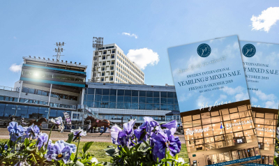 Uppsnack: Följ Åbyauktionen live