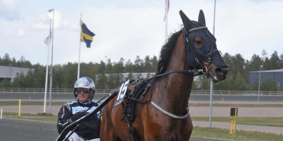 V86: Vi vet vem som är starkast i långa loppet!