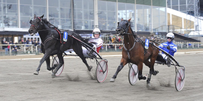 Nederländskt i Breeders Course