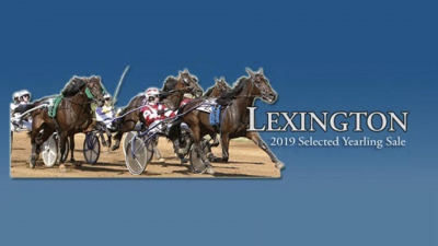 Följ auktionen i Lexington live