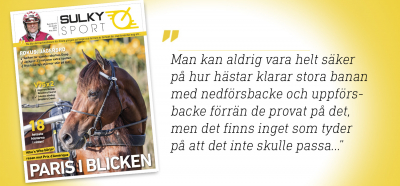 Vägen mot PdA och auktionsåret