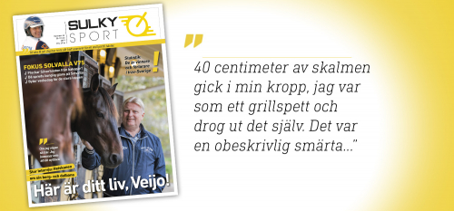 Personlig berg-och-dal-bana och svensk succé