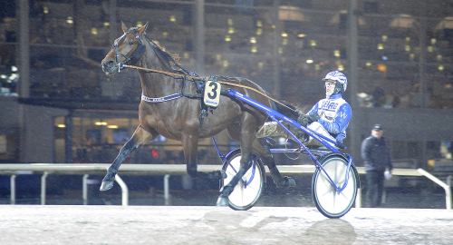 ”Namnet kommer från mamma”