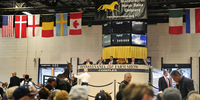 Följ auktionen i Harrisburg direkt