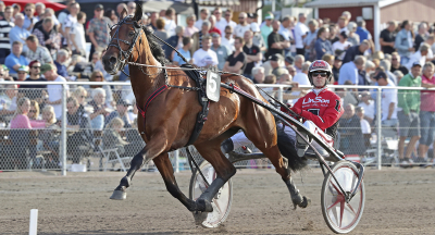 V75: ”Kommer med en häst i toppform”