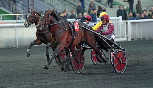 Gotland trivs i Paris