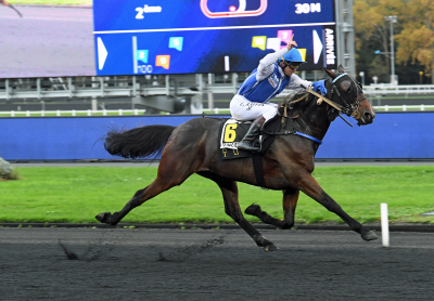Prix Reynolds till tioårig valack