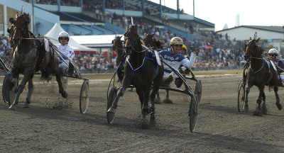Elitloppsvinnare till Österrike