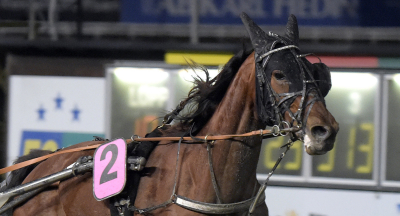 V86-jackpot: Spetsvinnare ramar in