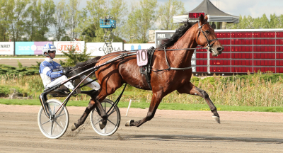V75-tips: Bo är bara bäst