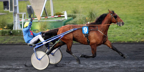 Återrop skrällvann