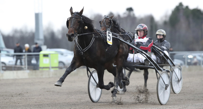 Champion jagar första segern