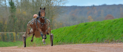 Face Time Bourbon mot start!