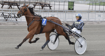 V75-tips: Toppidé i klass II