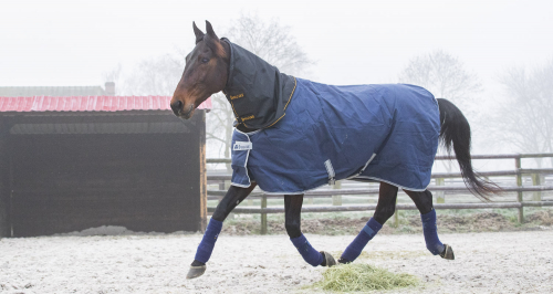 ”En chansning vi tyckte var värd att ta”