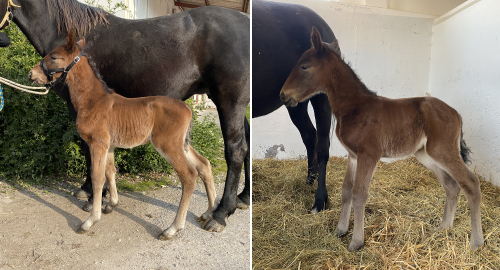 VM-vinnaren pappa för första gången