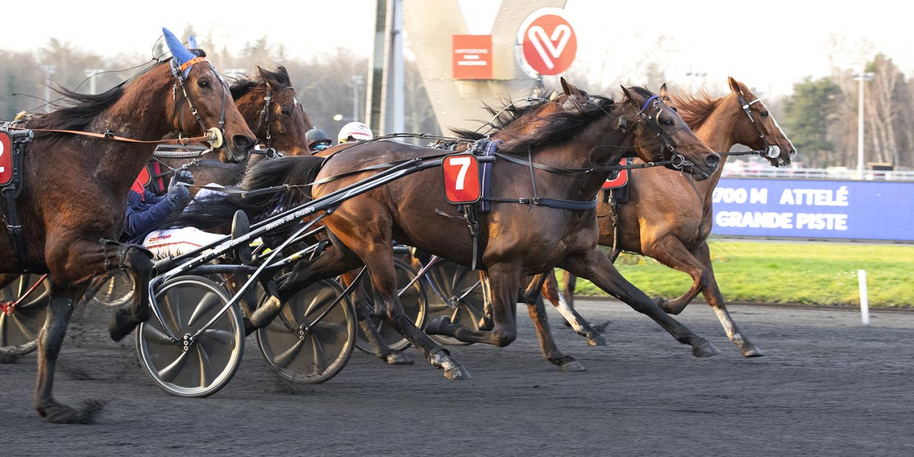 Valokaja Hindö. Foto Mia Törnberg/Sulkysport