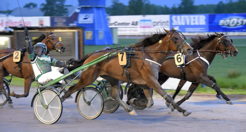 ”Roligaste året någonsin”