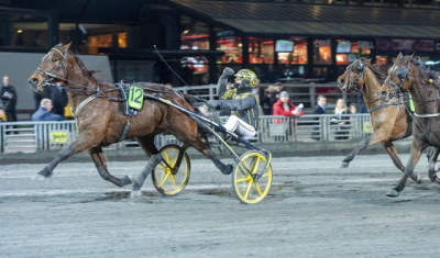 Harran dödade Solvallaspöket