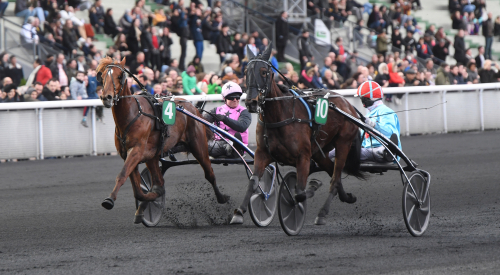 Dubbel vid första tränarsegern