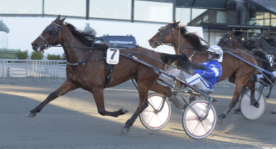 Provläs gratis – tips och analys V75-5