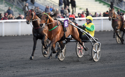 Face Time Bourbon vinterns kung