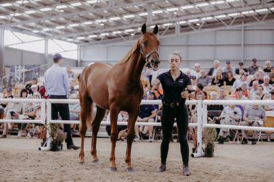 Rekordpris i Nya Zeeland