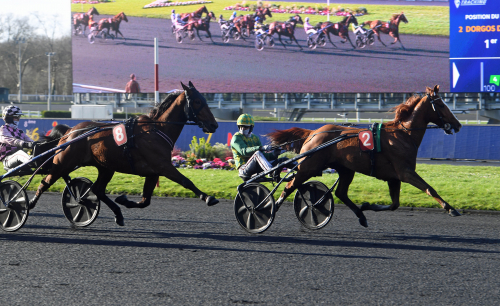 Stalldubbel för Bazires toppvalacker
