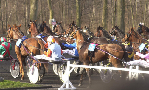 Franska starter på Jägersro?