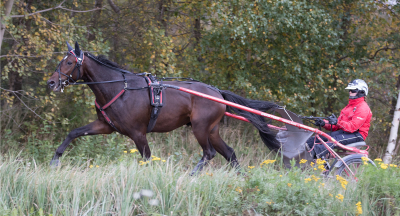 Reste sig efter buköppning