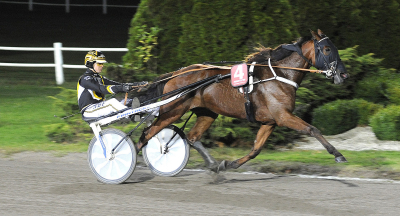 V86: ”Jag har en bra känsla”