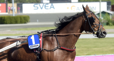 V86-tips: Ikväll slipper han VM-tvåan