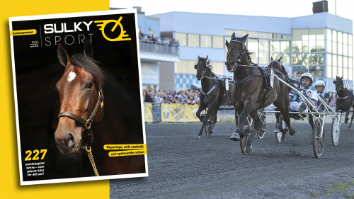 Finskt frånfall i Boden?