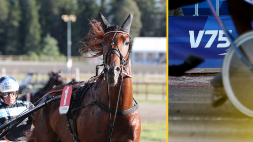 Treåringarnas rekordår