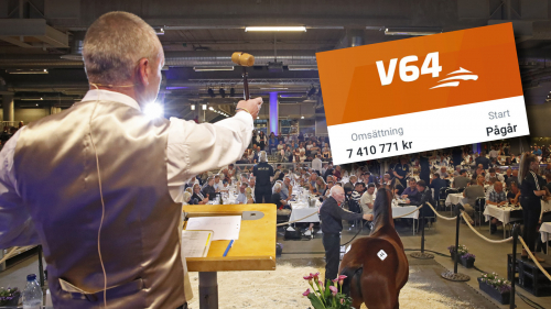 Besked om Elitauktionen idag