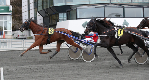 Unga löften jagar finalbiljetter