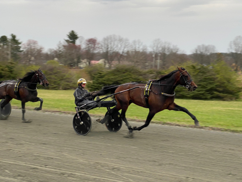 ”Tillräckligt bra för Elitloppet”