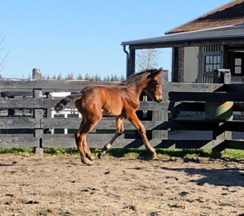Fort Knox har fått en lillasyster