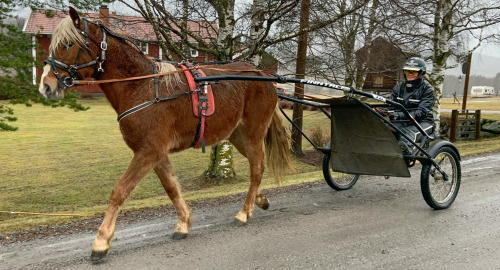 ”Ska vinna Derbyt – minst två gånger”