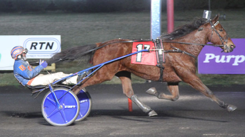 Goop-uppfödning vann i USA